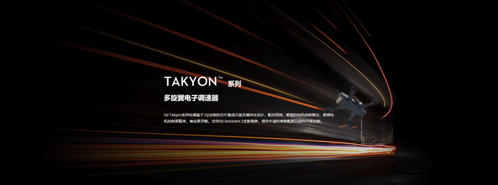 bf88官方网站Takyon Z318/Z420 电子调速器